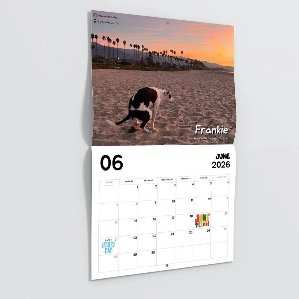 2026 Calendar: Dogs Pooping in Beautiful Places - Image 4