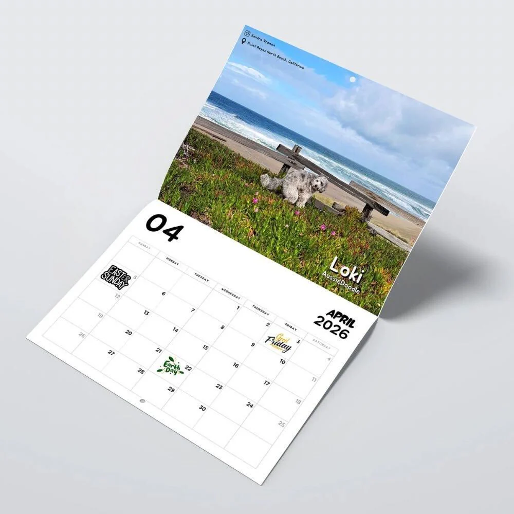 2026 Calendar: Dogs Pooping in Beautiful Places - Image 5