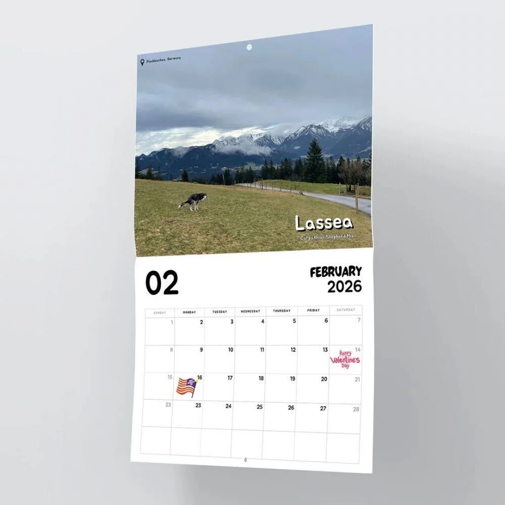 2026 Calendar: Dogs Pooping in Beautiful Places - Image 6