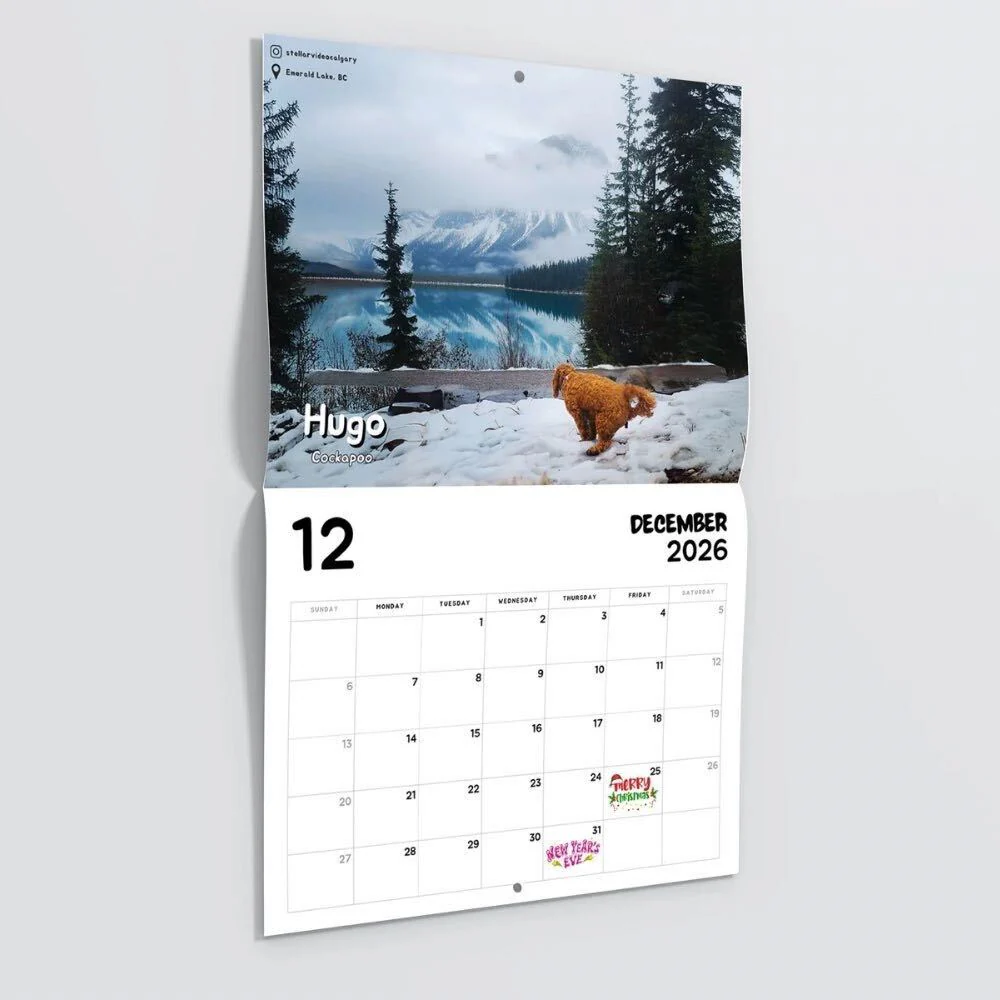 2026 Calendar: Dogs Pooping in Beautiful Places - Image 7